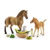SCHLEICH Horse Club Sarah's Baby Animal Care Toy Playset, 5 to 12 Years, Multi-colour (42432)