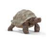 SCHLEICH Wild Life Giant Tortoise Toy Figure (14824)