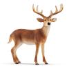 SCHLEICH Wild Life White-Tailed Buck Toy Figure, 3 to 8 Years (14818)