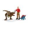 SCHLEICH Dinosaurs Tyrannosaurus Rex Attack Toy Playset, 4 to 10 Years, Multi-colour (41465)