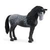 SCHLEICH Horse Club Pura Raza Espanola Mare Toy Figure, 5 to 12 Years, Grey/Black (13922)