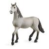 SCHLEICH Horse Club Pura Raza Espanola Young Horse Toy Figure, 5 to 12 Years, Grey/Black (13924)