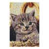 SES CREATIVE Cat Beedz Art Mosaic Kit, 7000 Iron-on Beads, Unisex, Eight Years and Above, Multi-colour (06006)