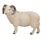 MOJO Farmland Sheep Ram Toy Figure (387097)