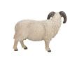 MOJO Farmland Sheep Ram Toy Figure (387097)