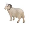 MOJO Farmland Sheep Ram Toy Figure (387097)