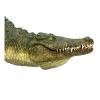 ANIMAL PLANET Wild Life & Woodland Crocodile with Articulated Jaw Toy Figure, Three Years and Above, Green/Tan (387162)