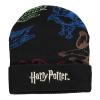HARRY POTTER Wizards Unite Hogwarts Houses Beanie & Scarf Giftset, Multi-colour (GS802600HPT)