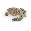 PAPO Marine Life Loggerhead Turtle Toy Figure, Three Years or Above, Multi-colour (56005)