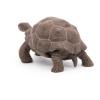 PAPO Wild Animal Kingdom Galapagos Tortoise Toy Figure, Three Years or Above, Green (50161)