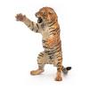 PAPO Wild Animal Kingdom Standing Tiger Toy Figure, Three Years or Above, Multi-colour (50208)