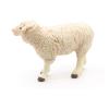 PAPO Farmyard Friends Merinos Sheep Toy Figure, Three Years or Above, White (51041)