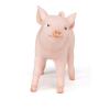 PAPO Farmyard Friends Female Piglet Toy Figure, Three Years or Above, Pink (51136)