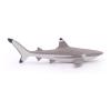 PAPO Marine Life Blacktip Reef Shark Toy Figure, Three Years or Above, Grey/White (56034)