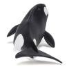 PAPO Marine Life Killer Whale Calf Toy Figure, Three Years or Above, Black/White (56040)