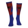 MARVEL COMICS Spider-man Web Logo Knee High Sock, 1 Pack, Female, 39/42, Blue/Red (KH034027SPN-39/42)