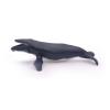 PAPO Marine Life Humpback Whale Toy Figure, Three Years or Above, Grey (56001)