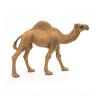 PAPO Wild Animal Kingdom Dromedary Toy Figure, 3 Years or Above, Brown (50151)