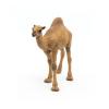 PAPO Wild Animal Kingdom Dromedary Toy Figure, 3 Years or Above, Brown (50151)