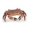 PAPO Marine Life Crab Toy Figure, 3 Years or Above, Brown (56047)