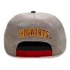 WIZARDING WORLD Harry Potter College Gryffindor Snapback Baseball Cap, Grey/Red (HAR01602SBCOS)