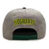 WIZARDING WORLD Harry Potter College Slytherin Snapback Baseball Cap, Grey/Green (HAR01603SBCOS)