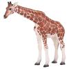 MOJO Wildlife & Woodland Giraffe Female Toy Figure, Brown (381033)