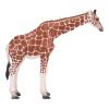 MOJO Wildlife & Woodland Giraffe Female Toy Figure, Brown (381033)