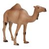 MOJO Wildlife & Woodland Arabian Camel Toy Figure, Brown (387113)