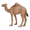 MOJO Wildlife & Woodland Arabian Camel Toy Figure, Brown (387113)