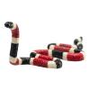 MOJO Wildlife & Woodland Coral Snake Toy Figure, Multi-colour (387251)