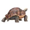 MOJO Wildlife & Woodland Giant Tortoise Toy Figure, Brown/Green (387259)