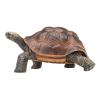 MOJO Wildlife & Woodland Giant Tortoise Toy Figure, Brown/Green (387259)