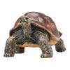 MOJO Wildlife & Woodland Giant Tortoise Toy Figure, Brown/Green (387259)