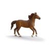 SCHLEICH Horse Club Hannah & Cayenne Toy Figure Set (42711)