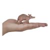 MOJO Wildlife & Woodland Aardvark Toy Figure (381029)