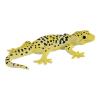 MOJO Wildlife & Woodland Leopard Gecko Toy Figure (381077)