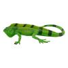 MOJO Wildlife & Woodland Iguana Toy Figure (381095)