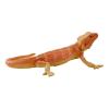 MOJO Wildlife & Woodland Bearded Dragon Toy Figure (381096)