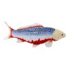 MOJO Wildlife & Woodland Koi Carp Asagi Koi (Blue Red) Toy Figure (381100)