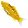 MOJO Wildlife & Woodland Koi Carp Kin Matsuba Koi (Golden) Toy Figure (381105)