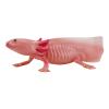 MOJO Wildlife & Woodland Axolotl Toy Figure (381108)