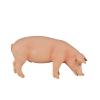 MOJO Farmland Pig (Boar) Toy Figure (387080)