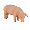 MOJO Farmland Pig (Boar) Toy Figure (387080)