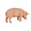 MOJO Farmland Pig (Boar) Toy Figure (387080)