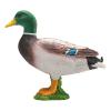 MOJO Farmland Mallard Duck Male Toy Figure (387127)