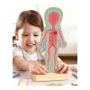 HAPE Human Body Magnetic Puzzle (E1652)