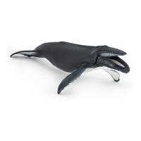 PAPO Marine Life Humpback Whale Toy Figure, Three Years or Above, Grey (56001)