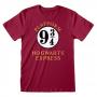 HARRY POTTER Hogwarts Express Platform 3/4 T-Shirt, Unisex, Medium, Red (HAR00009TSCMM)
