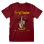 HARRY POTTER Gryffindor Crest Team Quidditch T-Shirt, Unisex, Medium, Red (HAR00306TSCMM)